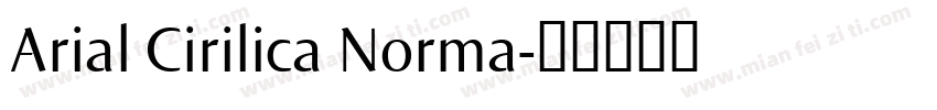 Arial Cirilica Norma字体转换